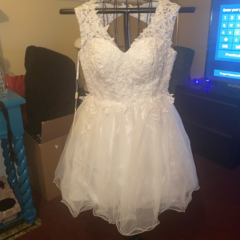 NWT Jaeden Wedding Mini Dress With Veil